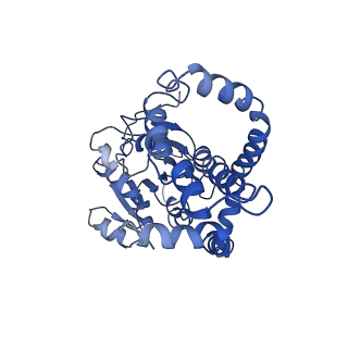 9800_6jcz_G_v1-1
Cryo-EM Structure of Sulfolobus solfataricus ketol-acid reductoisomerase (Sso-KARI) in complex with Mg2+, NADPH, and CPD at pH7.5
