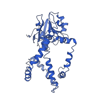 9800_6jcz_I_v1-1
Cryo-EM Structure of Sulfolobus solfataricus ketol-acid reductoisomerase (Sso-KARI) in complex with Mg2+, NADPH, and CPD at pH7.5