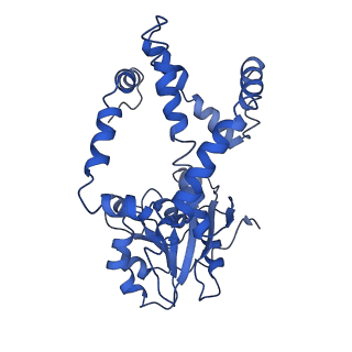 9800_6jcz_J_v1-1
Cryo-EM Structure of Sulfolobus solfataricus ketol-acid reductoisomerase (Sso-KARI) in complex with Mg2+, NADPH, and CPD at pH7.5