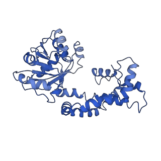 9800_6jcz_L_v1-1
Cryo-EM Structure of Sulfolobus solfataricus ketol-acid reductoisomerase (Sso-KARI) in complex with Mg2+, NADPH, and CPD at pH7.5