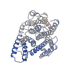 36076_8jda_A_v1-2
Cyro-EM structure of the Na+/H+ antipoter SOS1 from Arabidopsis thaliana,class2