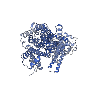 36077_8jd9_A_v1-2
Cyro-EM structure of the Na+/H+ antipoter SOS1 from Arabidopsis thaliana,class1