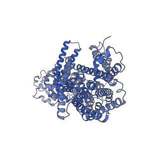 36077_8jd9_B_v1-2
Cyro-EM structure of the Na+/H+ antipoter SOS1 from Arabidopsis thaliana,class1