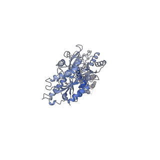 36171_8jd0_2_v1-1
Cryo-EM structure of mGlu2-mGlu3 heterodimer in presence of NAM563
