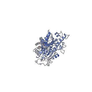 36171_8jd0_3_v1-1
Cryo-EM structure of mGlu2-mGlu3 heterodimer in presence of NAM563