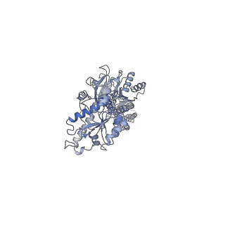 36172_8jd1_2_v1-1
Cryo-EM structure of mGlu2-mGlu3 heterodimer in Rco state