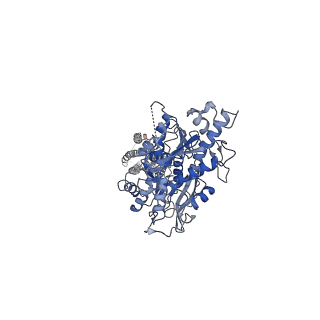36172_8jd1_3_v1-1
Cryo-EM structure of mGlu2-mGlu3 heterodimer in Rco state