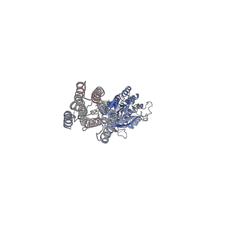 36173_8jd2_2_v1-1
Cryo-EM structure of G protein-free mGlu2-mGlu3 heterodimer in Acc state