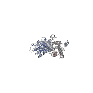 36173_8jd2_3_v1-1
Cryo-EM structure of G protein-free mGlu2-mGlu3 heterodimer in Acc state