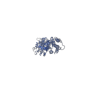 36174_8jd3_2_v1-1
Cryo-EM structure of Gi1-bound mGlu2-mGlu3 heterodimer