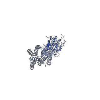 36174_8jd3_3_v1-1
Cryo-EM structure of Gi1-bound mGlu2-mGlu3 heterodimer