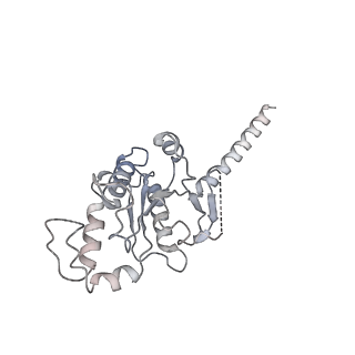 36174_8jd3_A_v1-1
Cryo-EM structure of Gi1-bound mGlu2-mGlu3 heterodimer