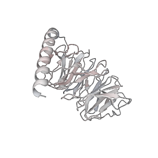 36174_8jd3_B_v1-1
Cryo-EM structure of Gi1-bound mGlu2-mGlu3 heterodimer