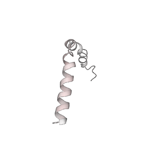 36174_8jd3_C_v1-1
Cryo-EM structure of Gi1-bound mGlu2-mGlu3 heterodimer
