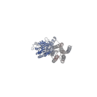 36175_8jd4_2_v1-1
Cryo-EM structure of G protein-free mGlu2-mGlu4 heterodimer in Acc state
