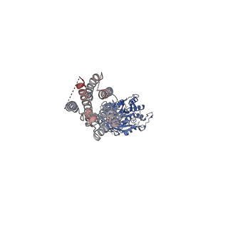 36175_8jd4_4_v1-1
Cryo-EM structure of G protein-free mGlu2-mGlu4 heterodimer in Acc state