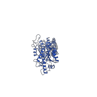 36176_8jd5_2_v1-1
Cryo-EM structure of Gi1-bound mGlu2-mGlu4 heterodimer