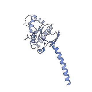 36176_8jd5_A_v1-1
Cryo-EM structure of Gi1-bound mGlu2-mGlu4 heterodimer