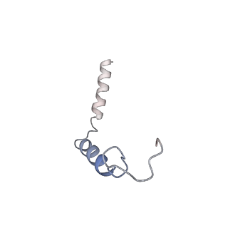 36176_8jd5_C_v1-1
Cryo-EM structure of Gi1-bound mGlu2-mGlu4 heterodimer