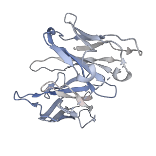 36176_8jd5_H_v1-1
Cryo-EM structure of Gi1-bound mGlu2-mGlu4 heterodimer