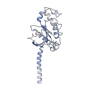 36177_8jd6_A_v1-1
Cryo-EM structure of Gi1-bound metabotropic glutamate receptor mGlu4