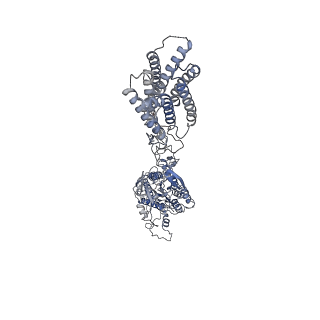 36177_8jd6_S_v1-1
Cryo-EM structure of Gi1-bound metabotropic glutamate receptor mGlu4