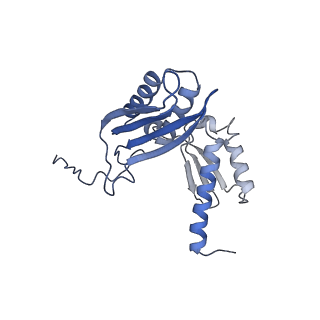 36178_8jdj_0_v1-1
Structure of the Human cytoplasmic Ribosome with human tRNA Asp(Q34) and mRNA(GAU)