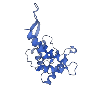 36178_8jdj_2_v1-1
Structure of the Human cytoplasmic Ribosome with human tRNA Asp(Q34) and mRNA(GAU)
