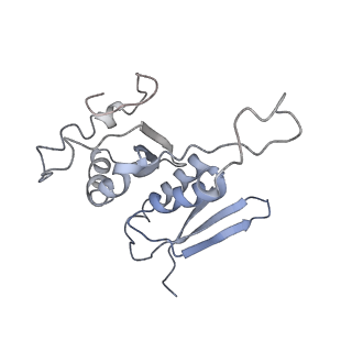 36178_8jdj_4_v1-1
Structure of the Human cytoplasmic Ribosome with human tRNA Asp(Q34) and mRNA(GAU)