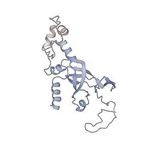 36178_8jdj_5_v1-1
Structure of the Human cytoplasmic Ribosome with human tRNA Asp(Q34) and mRNA(GAU)