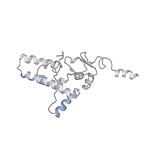 36178_8jdj_6_v1-1
Structure of the Human cytoplasmic Ribosome with human tRNA Asp(Q34) and mRNA(GAU)