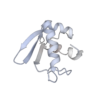36178_8jdj_7_v1-1
Structure of the Human cytoplasmic Ribosome with human tRNA Asp(Q34) and mRNA(GAU)