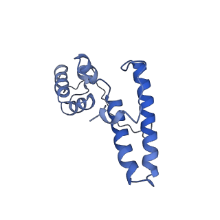 36178_8jdj_9_v1-1
Structure of the Human cytoplasmic Ribosome with human tRNA Asp(Q34) and mRNA(GAU)