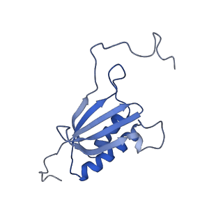 36178_8jdj_AA_v1-1
Structure of the Human cytoplasmic Ribosome with human tRNA Asp(Q34) and mRNA(GAU)