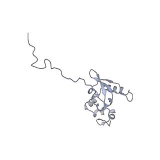 36178_8jdj_AB_v1-1
Structure of the Human cytoplasmic Ribosome with human tRNA Asp(Q34) and mRNA(GAU)