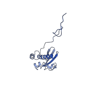 36178_8jdj_AC_v1-1
Structure of the Human cytoplasmic Ribosome with human tRNA Asp(Q34) and mRNA(GAU)