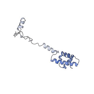 36178_8jdj_AD_v1-1
Structure of the Human cytoplasmic Ribosome with human tRNA Asp(Q34) and mRNA(GAU)