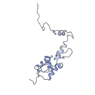 36178_8jdj_AE_v1-1
Structure of the Human cytoplasmic Ribosome with human tRNA Asp(Q34) and mRNA(GAU)