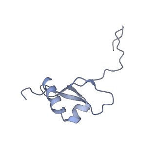 36178_8jdj_AH_v1-1
Structure of the Human cytoplasmic Ribosome with human tRNA Asp(Q34) and mRNA(GAU)