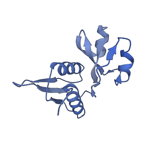 36178_8jdj_AI_v1-1
Structure of the Human cytoplasmic Ribosome with human tRNA Asp(Q34) and mRNA(GAU)