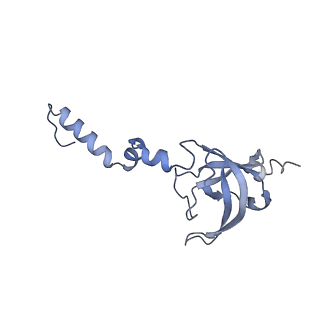 36178_8jdj_AJ_v1-1
Structure of the Human cytoplasmic Ribosome with human tRNA Asp(Q34) and mRNA(GAU)