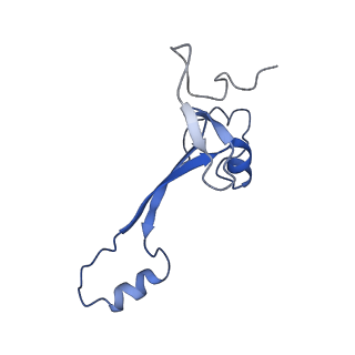 36178_8jdj_AM_v1-1
Structure of the Human cytoplasmic Ribosome with human tRNA Asp(Q34) and mRNA(GAU)
