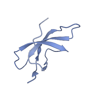 36178_8jdj_AO_v1-1
Structure of the Human cytoplasmic Ribosome with human tRNA Asp(Q34) and mRNA(GAU)