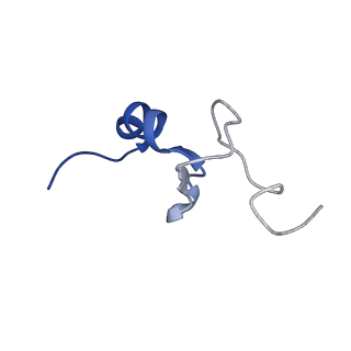36178_8jdj_AP_v1-1
Structure of the Human cytoplasmic Ribosome with human tRNA Asp(Q34) and mRNA(GAU)