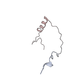 36178_8jdj_AQ_v1-1
Structure of the Human cytoplasmic Ribosome with human tRNA Asp(Q34) and mRNA(GAU)