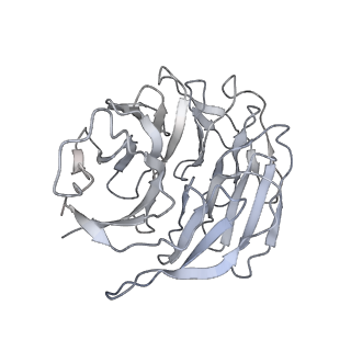36178_8jdj_AR_v1-1
Structure of the Human cytoplasmic Ribosome with human tRNA Asp(Q34) and mRNA(GAU)
