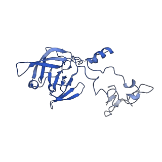 36178_8jdj_G_v1-1
Structure of the Human cytoplasmic Ribosome with human tRNA Asp(Q34) and mRNA(GAU)