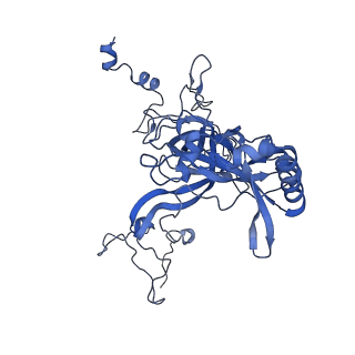 36178_8jdj_H_v1-1
Structure of the Human cytoplasmic Ribosome with human tRNA Asp(Q34) and mRNA(GAU)