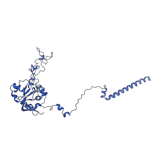 36178_8jdj_I_v1-1
Structure of the Human cytoplasmic Ribosome with human tRNA Asp(Q34) and mRNA(GAU)