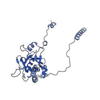 36178_8jdj_J_v1-1
Structure of the Human cytoplasmic Ribosome with human tRNA Asp(Q34) and mRNA(GAU)